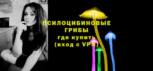 a pvp Аркадак
